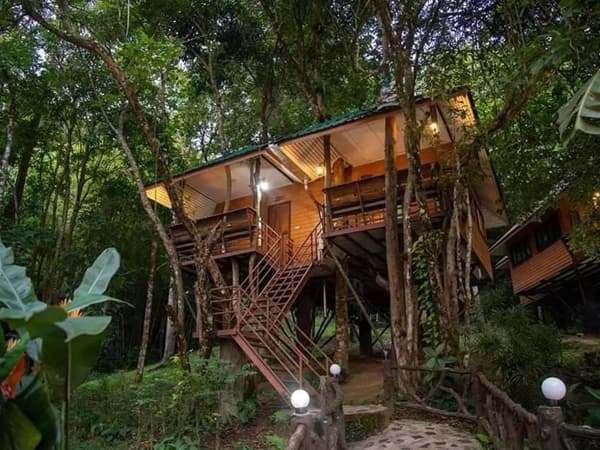 Khao Sok Rainforest Resort