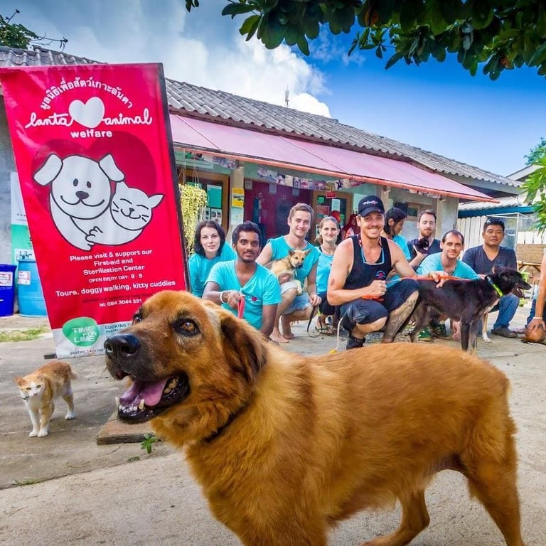 Lanta Animal Welfare