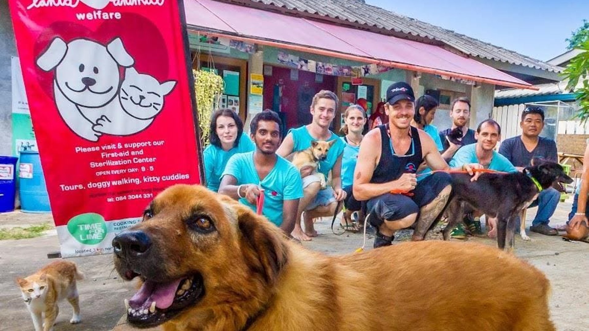 Lanta Animal Welfare
