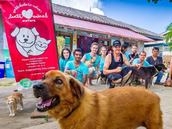 Lanta Animal Welfare photo 1