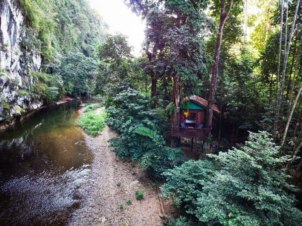 Our Jungle House Treehouse Khao Sok photo 10