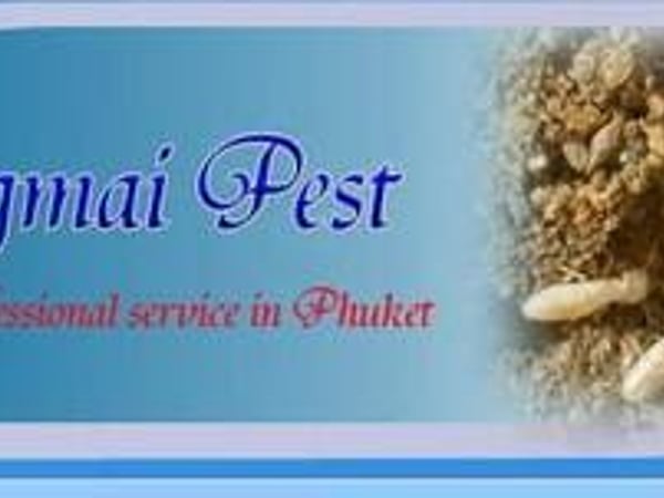 Chiangmai Pest Phuket photo 2