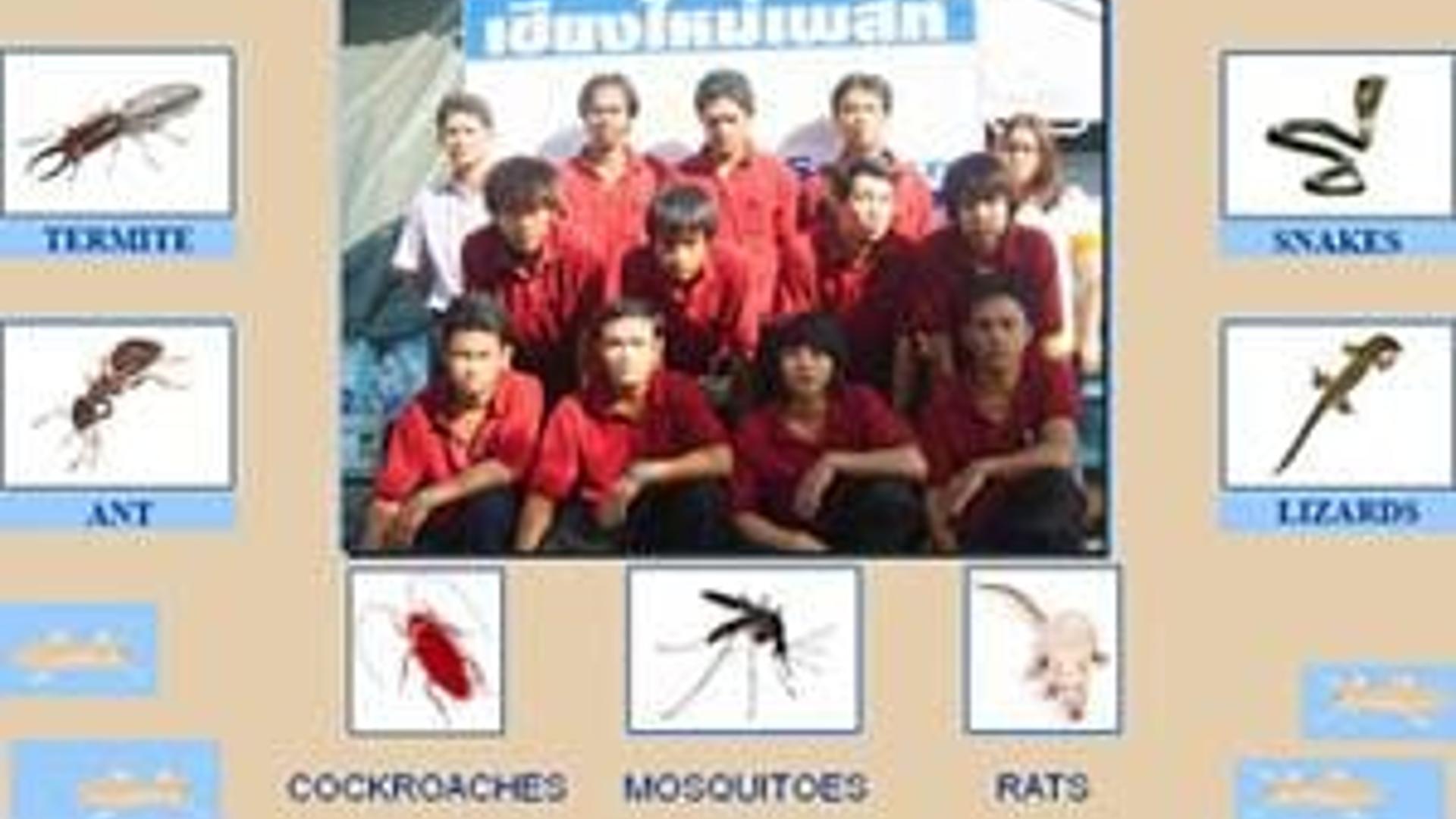 Chiangmai Pest Phuket