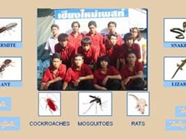 Chiangmai Pest Phuket photo 1