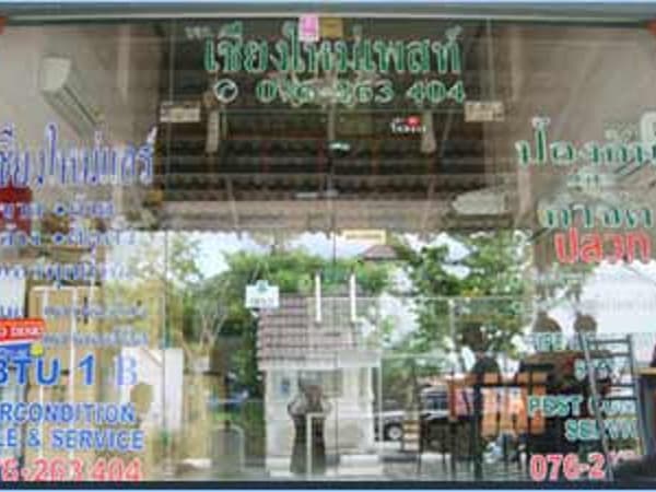 Chiangmai Pest Phuket photo 15