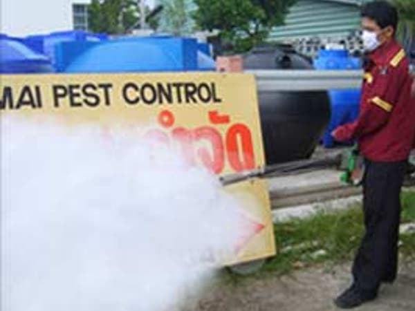 Chiangmai Pest Phuket photo 19