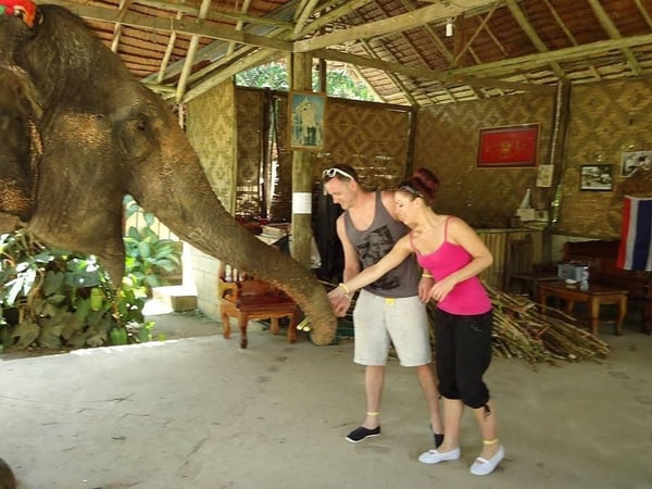 Nosey Parkers Elephant Camp Krabi photo 4