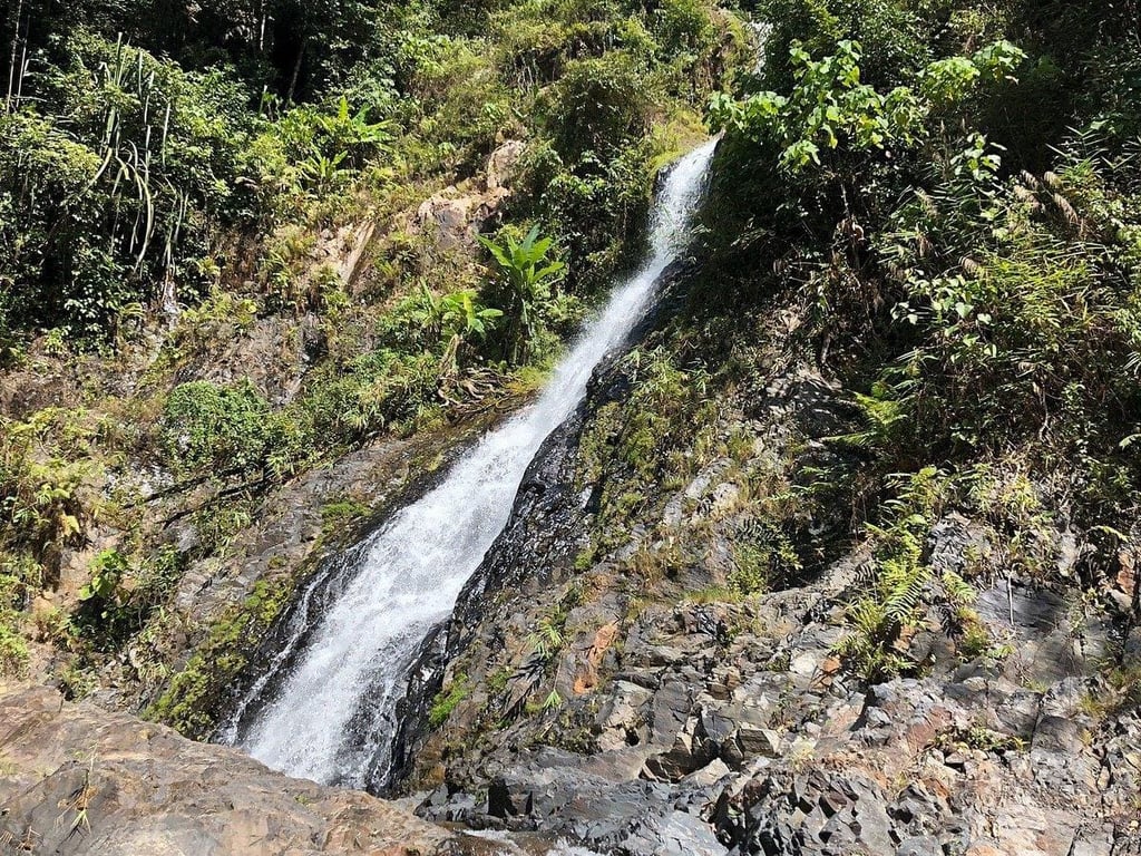 The Huay Tho Waterfall Safari
