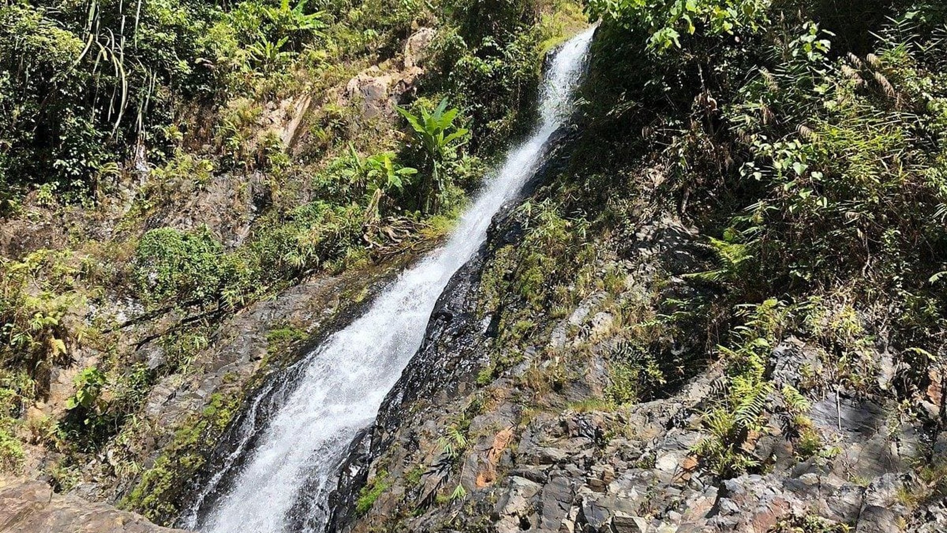 The Huay Tho Waterfall Safari