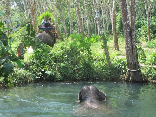 Nosey Parkers Elephant Camp Krabi photo 1