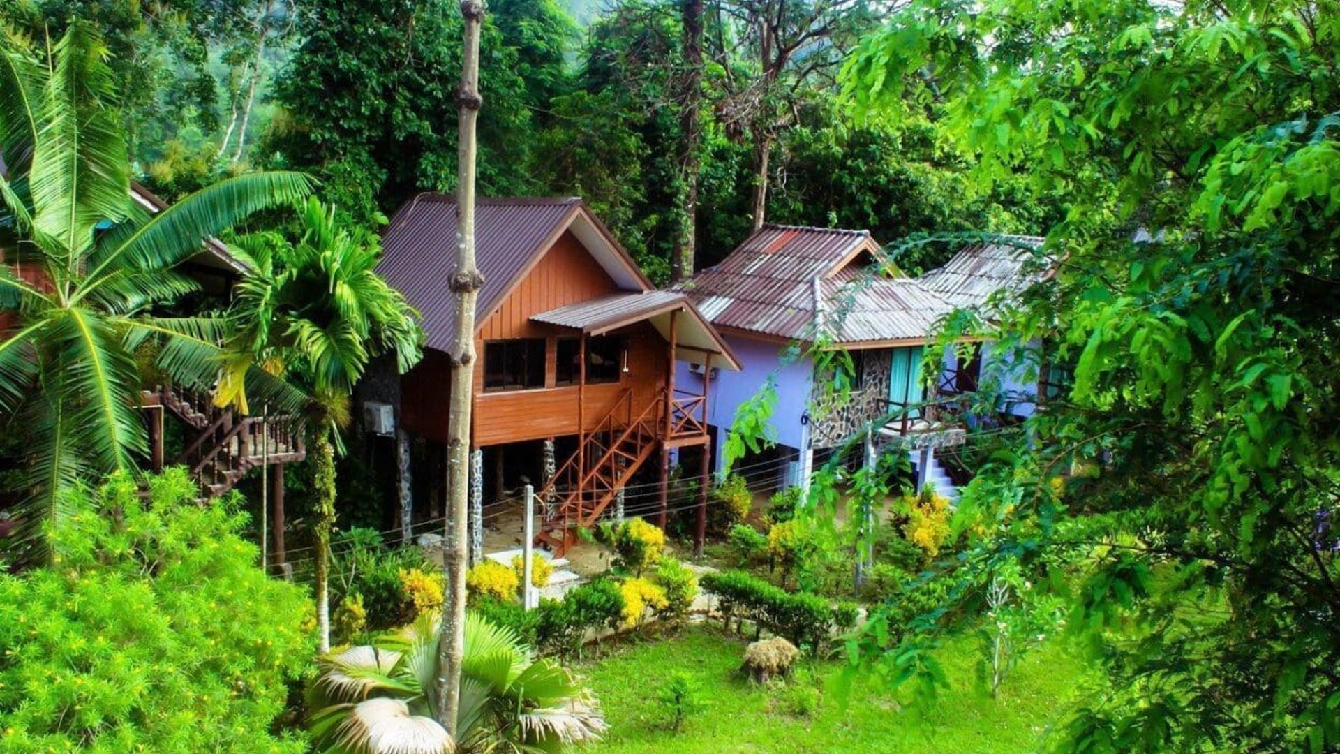 Tree Tops River Huts Khao Sok