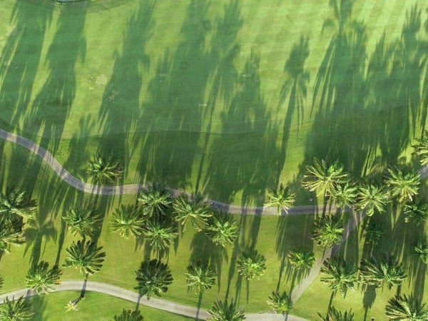 Loch Palm Golf Club Phuket photo 8