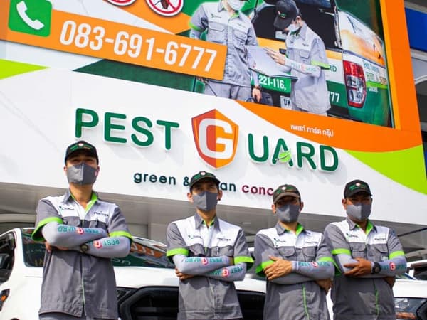 กำจัดปลวกและแมลง Pest Guard Phuket photo 3