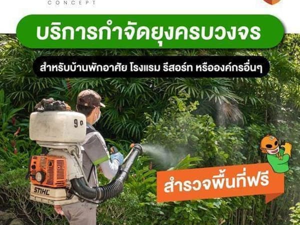 กำจัดปลวกและแมลง Pest Guard Phuket photo 4
