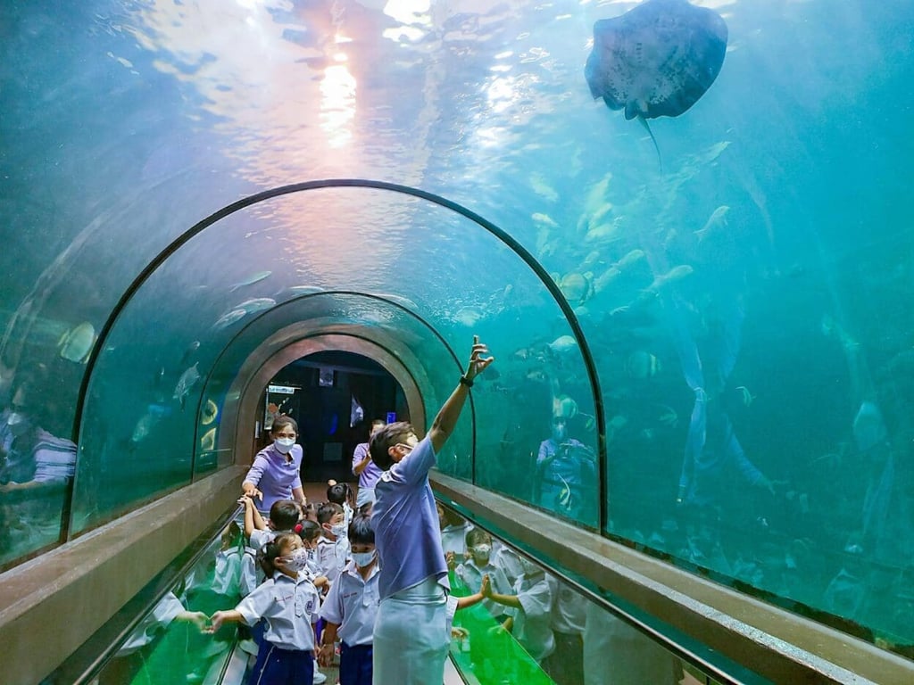 Phuket Aquarium