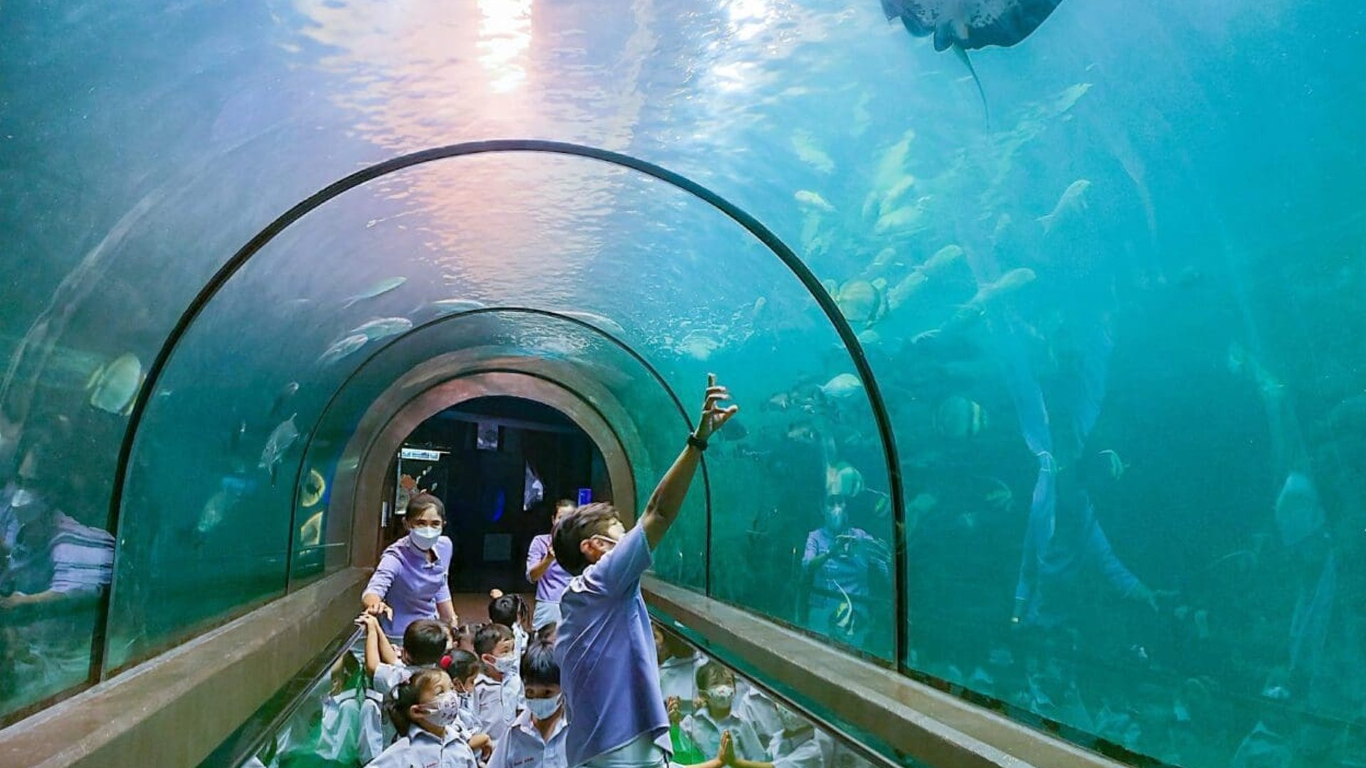 Phuket Aquarium
