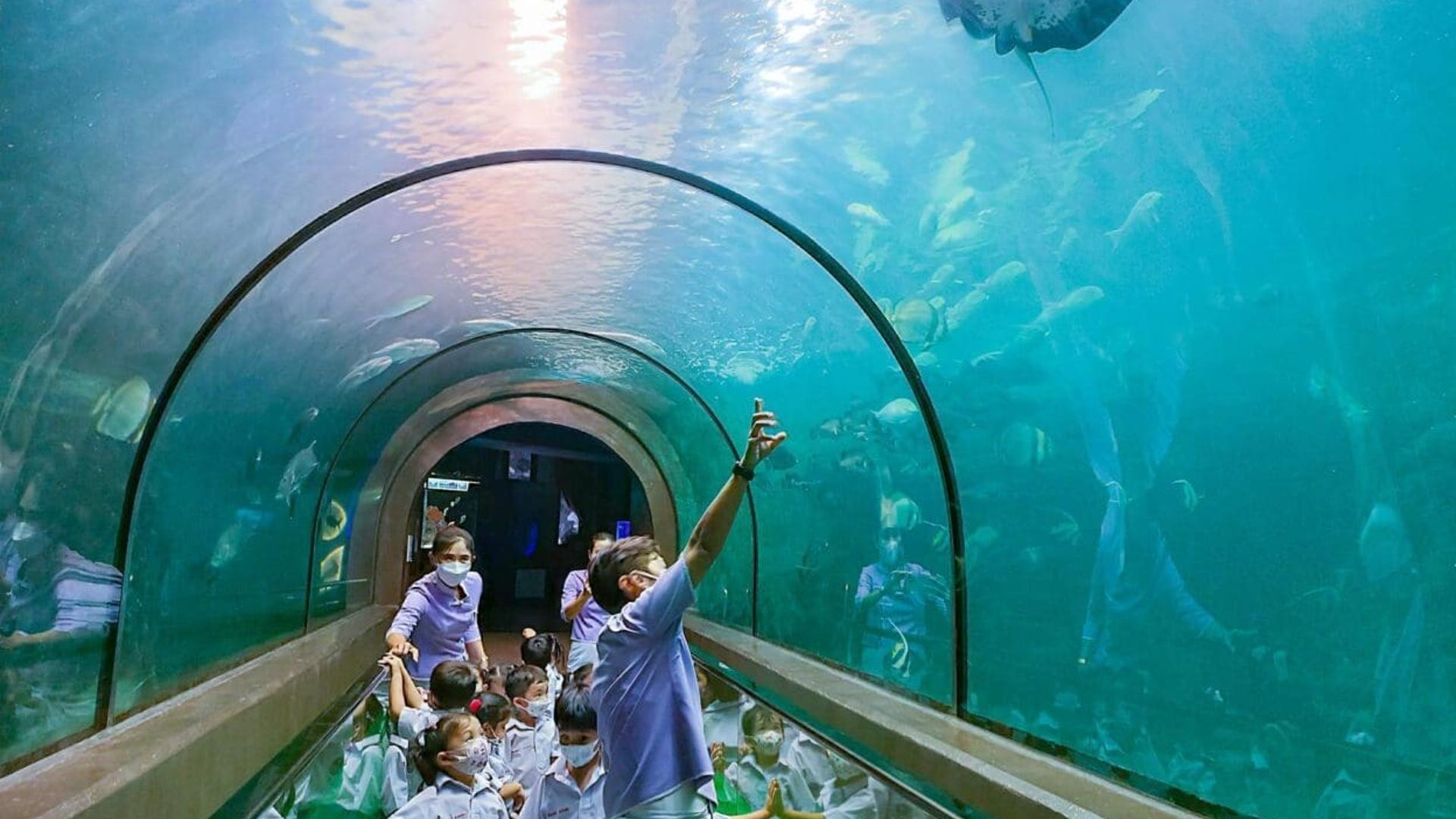 Phuket Aquarium
