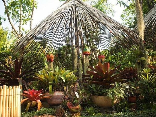 Phuket Botanic Garden photo 4