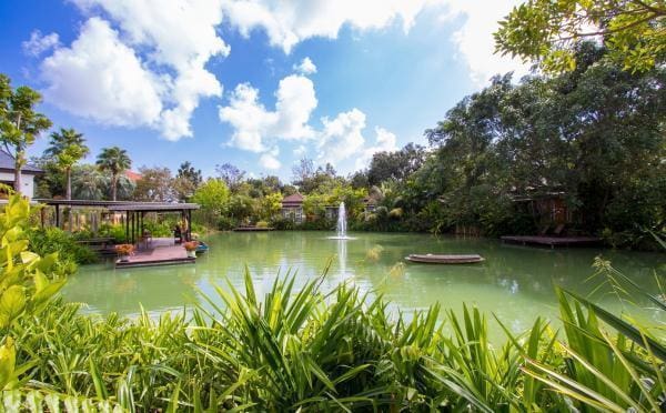 Phuket Botanic Garden