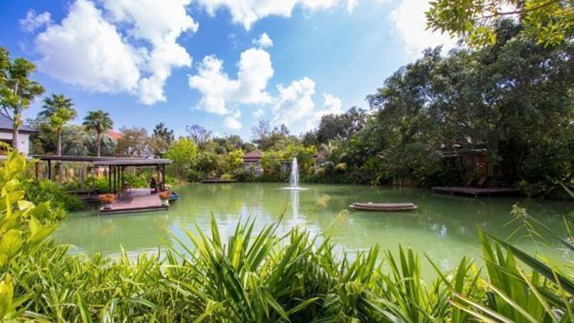 Phuket Botanic Garden