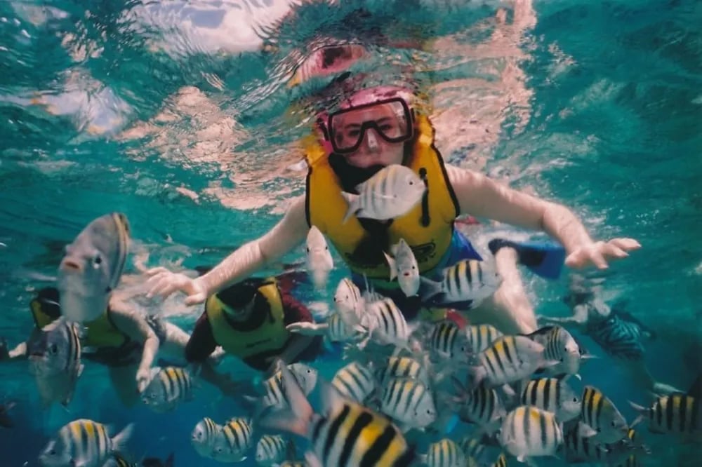 Phuket dash Scuba dot Com