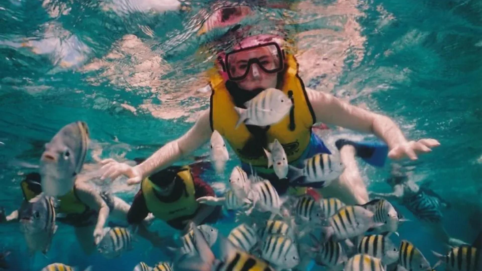 Phuket dash Scuba dot Com