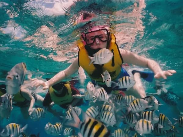 Phuket dash Scuba dot Com