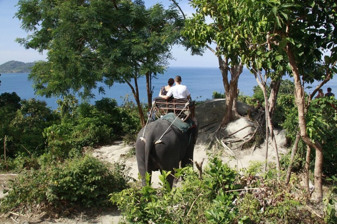 Camp Chang Kalim&nbsp;Elephant Phuket