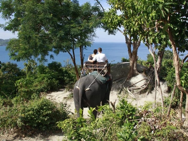 Camp Chang Kalim&nbsp;Elephant Phuket photo 1