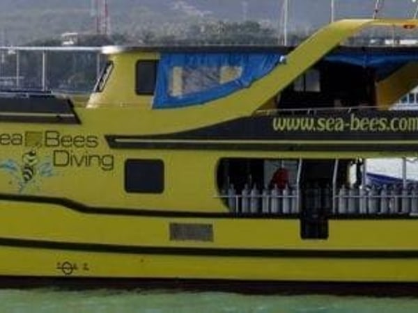Sea bees diving Phuket photo 2