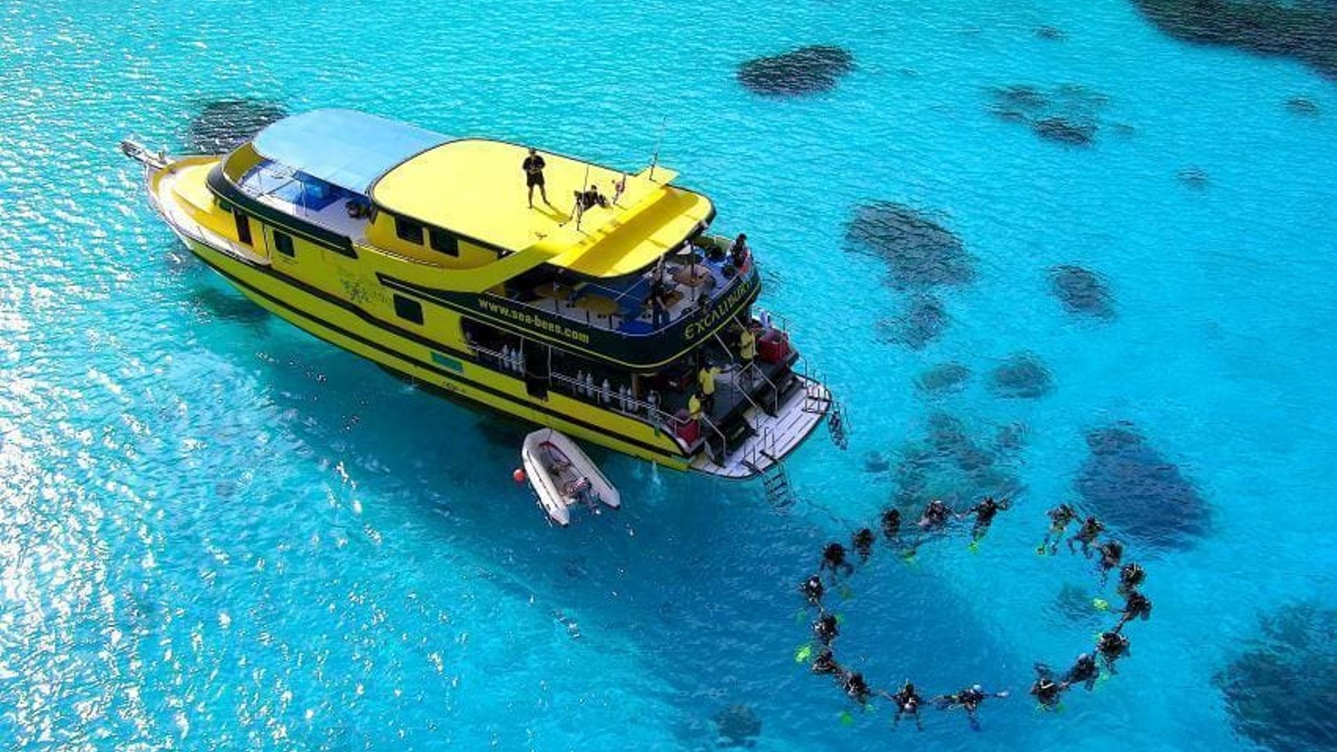 Sea bees diving Phuket