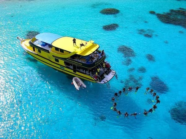 Sea bees diving Phuket