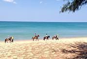 Phuket Riding Club