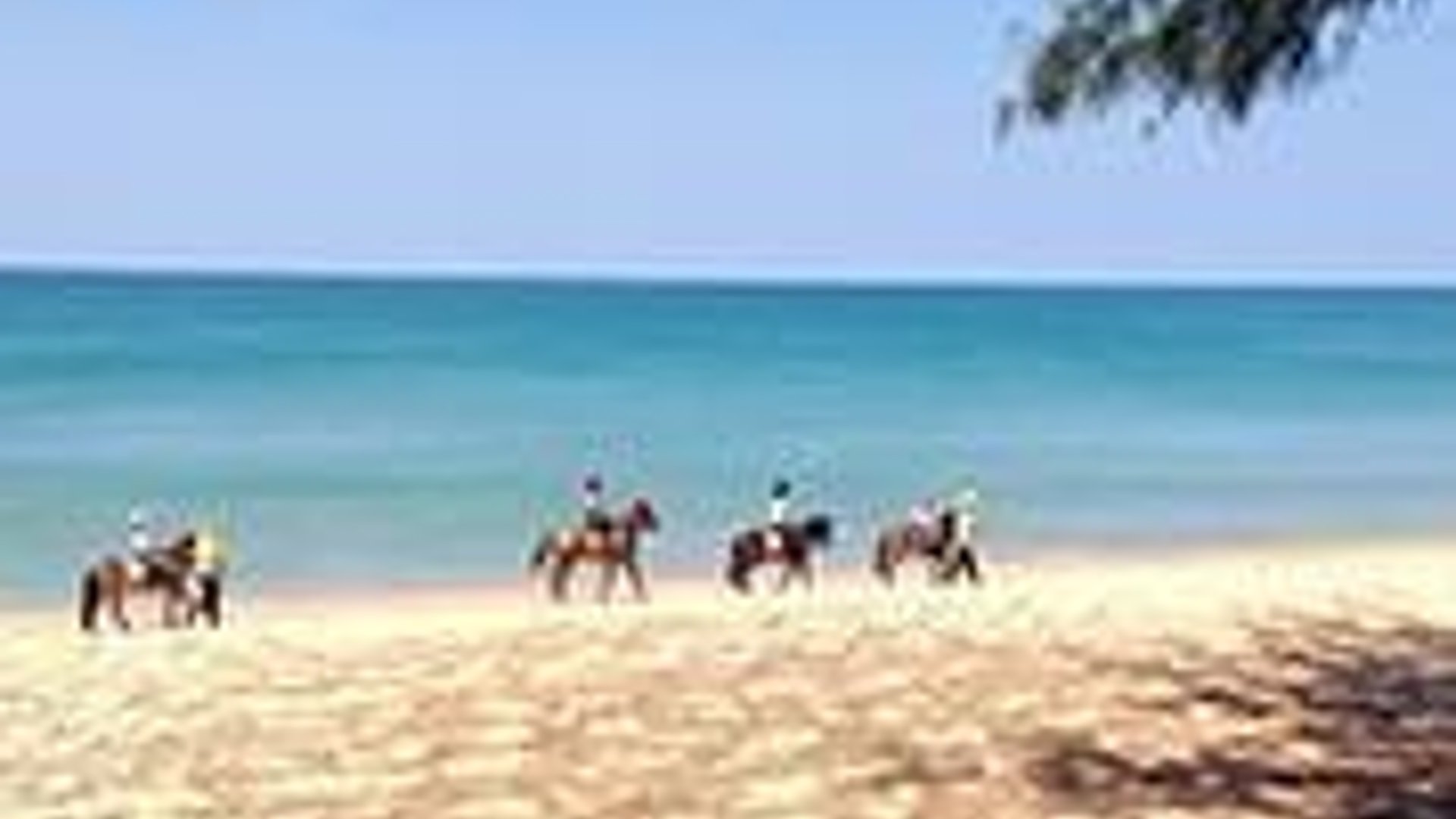 Phuket Riding Club