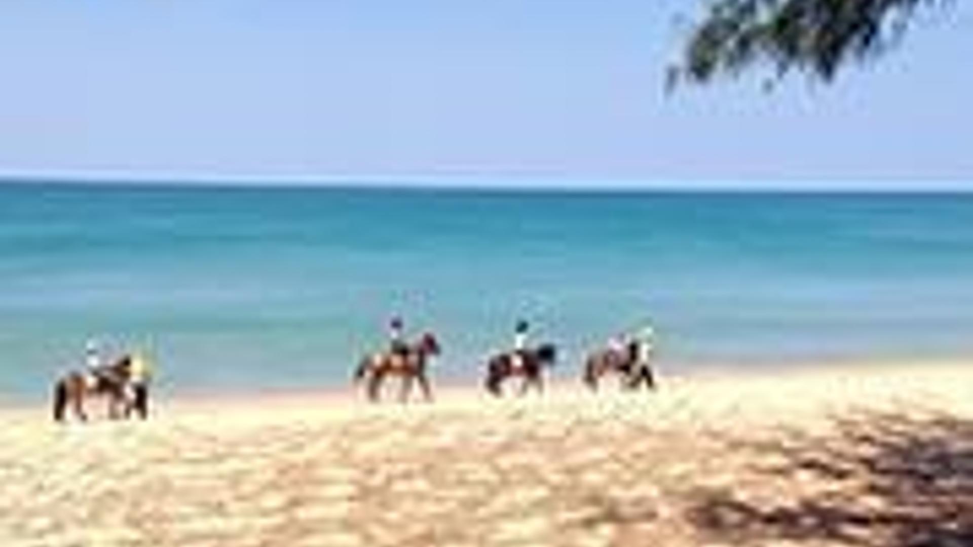Phuket Riding Club