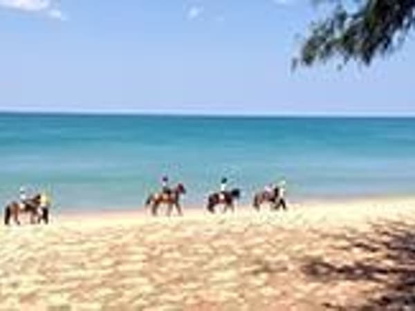 Phuket Riding Club