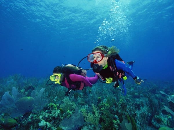 Phuket Scuba Club photo 2