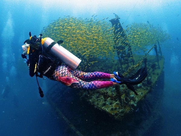 Phuket Scuba Club photo 3