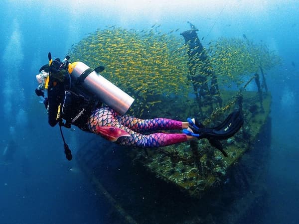 Phuket Scuba Club photo 3