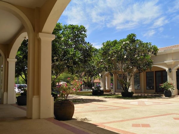 Plaza Del Mar photo 3