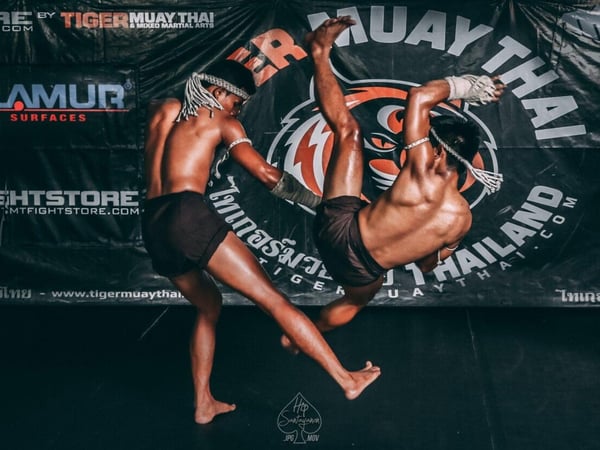 Tiger Muay Thai photo 2