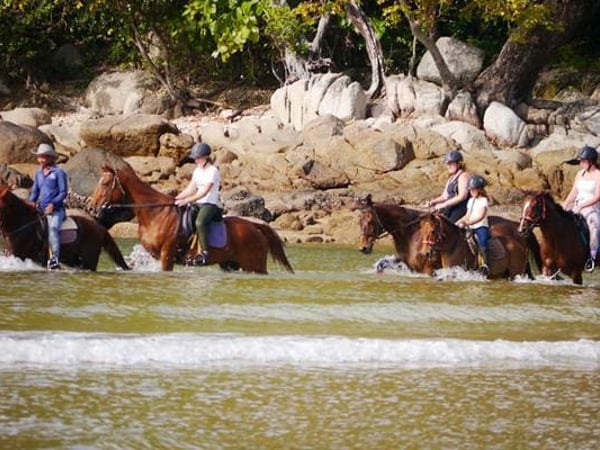 Phuket International Horse Club photo 7