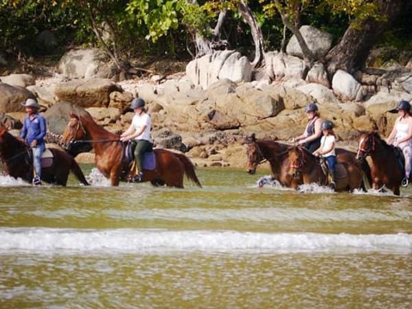 Phuket International Horse Club photo 7