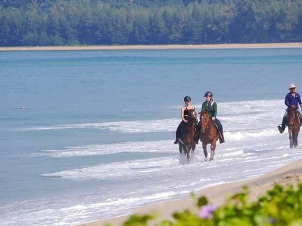 Phuket International Horse Club photo 6