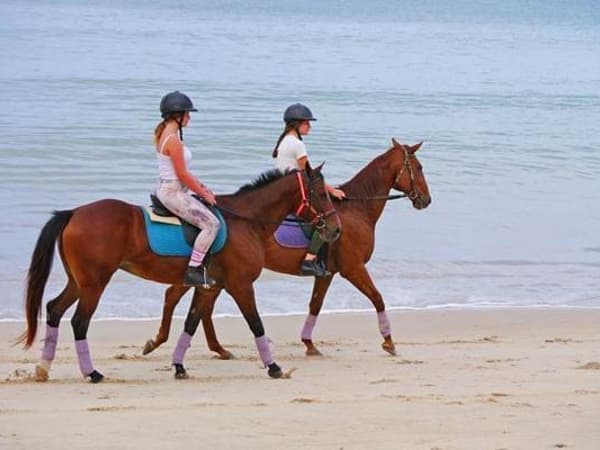 Phuket International Horse Club photo 5