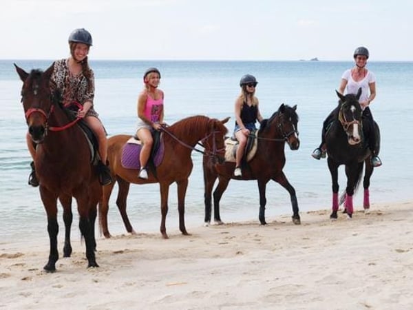 Phuket International Horse Club photo 4