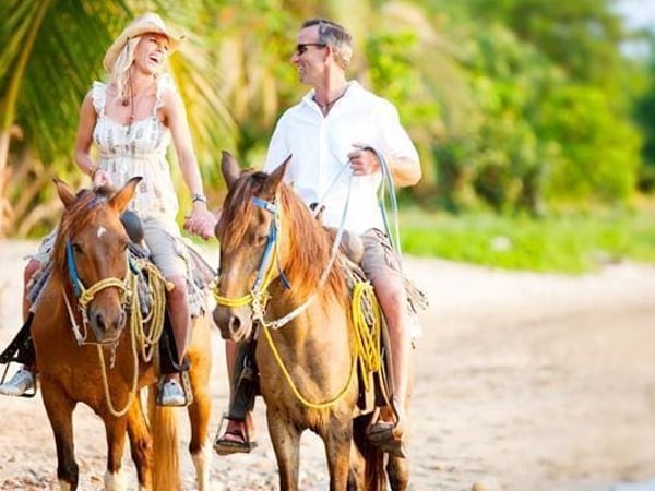 Phuket International Horse Club photo 3