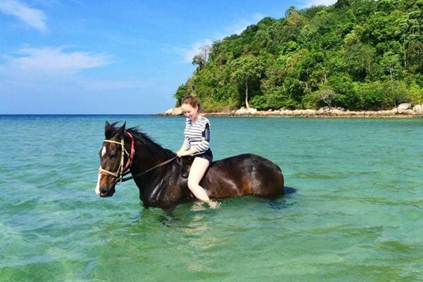 Phuket International Horse Club