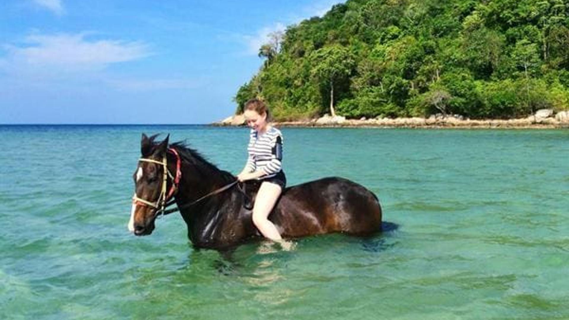 Phuket International Horse Club