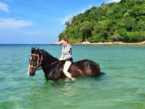 Phuket International Horse Club photo 1